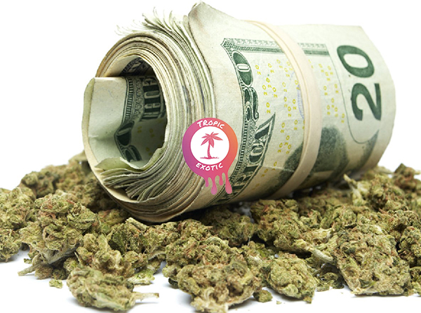 buying cannabis in ontario ocs online dispensary guide 24 - Buying Cannabis in Ontario: OCS Online Dispensary Guide