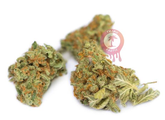 buying cannabis in quebec sqdc online dispensary guide 4 - Buying Cannabis in Quebec: SQDC Online Dispensary Guide