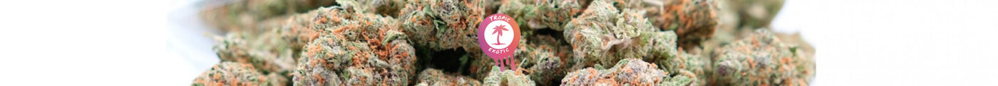 buying cannabis in quebec sqdc online dispensary guide 5 1400x122 - Buying Cannabis in Quebec: SQDC Online Dispensary Guide