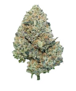 Citrus Burst *Sativa*