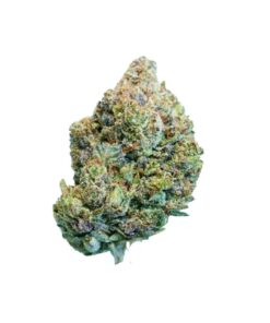 Death Star *Indica*