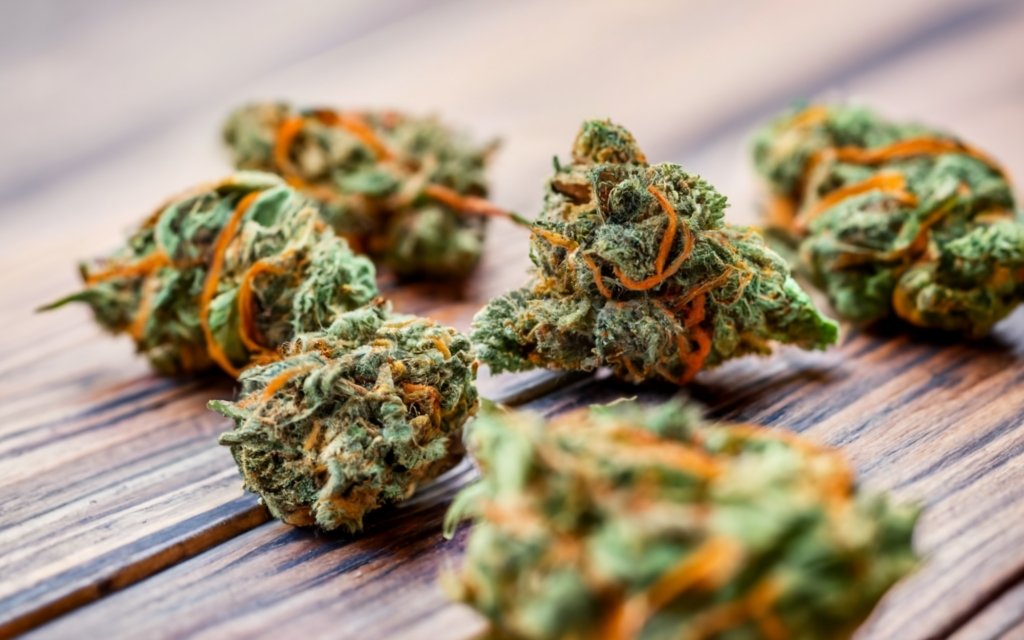 dried cannabis flower photo product - TropicExotic Weed Delivery Toronto