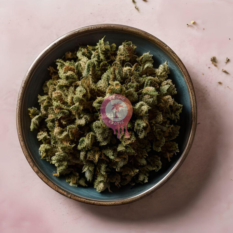 fotor ai 2023091604922 2 798x800 - Buying Bulk Weed in Canada: Bulk Weed Inbox Online Dispensary Guide