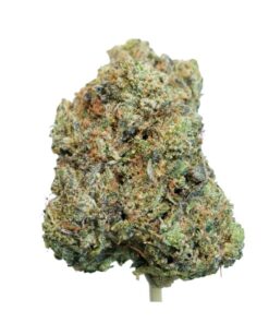 Gary Payton LSO-Indica