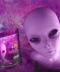 *Astro Bag Flash Sale*