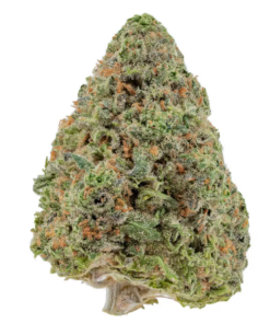 Blueberry Diesel – Sativa BULK