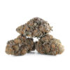 Blueberry Diesel – Sativa