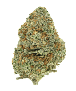 Mango Kush – Sativa BULK