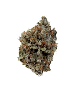 Chemo Kush – Hybrid