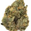 Pink Berry *Indica*