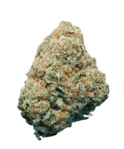 Jack Flash *Sativa*