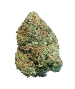 Cali Pink-Indica