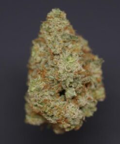 Black Dutch –  Indica — buy online, same-day weed delivery in Toronto | Tropic Exotic