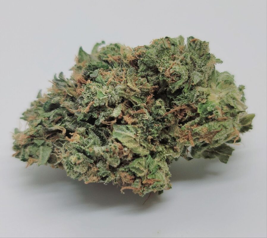 Cannabis Store – Tropic Exotic – Same Day Delivery