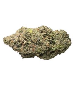 Pink Rockstar *Indica*
