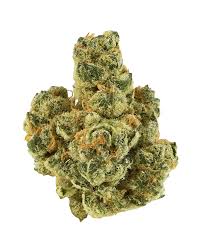 Gelato Hybrid Popcorn Smalls – Limited Special