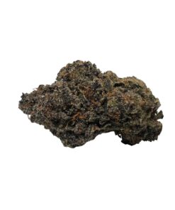 Gelato Sunrise *Hybride*