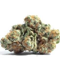 Tangerine Cookies *Hybrid*