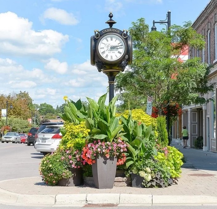 Uxbridge Weed Delivery - buy online, same-day weed delivery Toronto | Tropic Exotic