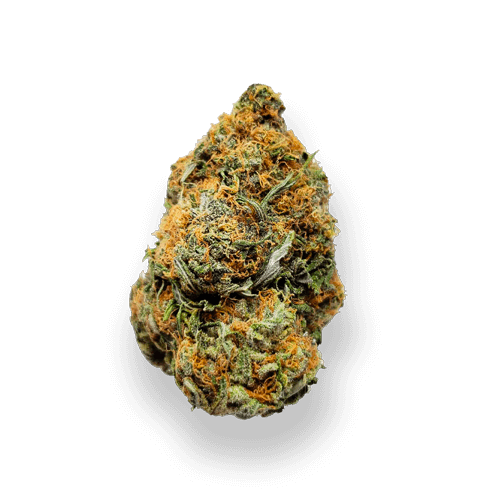 Farmer's Link Weed Delivery Toronto | TropicExotic Cannabis Dispensary Reviews weed delivery toronto ontario - Farmer's Link Weed Delivery Toronto | TropicExotic Cannabis Dispensary Reviews